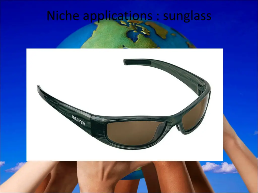 niche applications sunglass