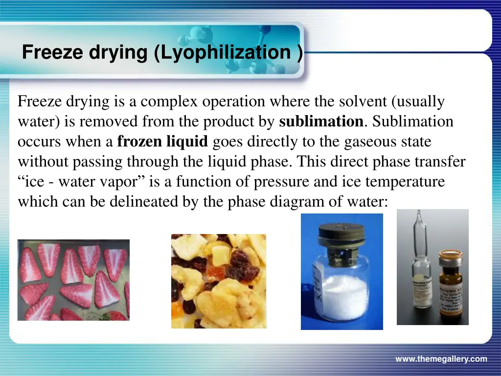 freeze drying lyophilization