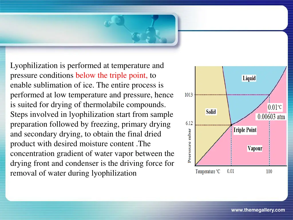 lyophilization is performed at temperature