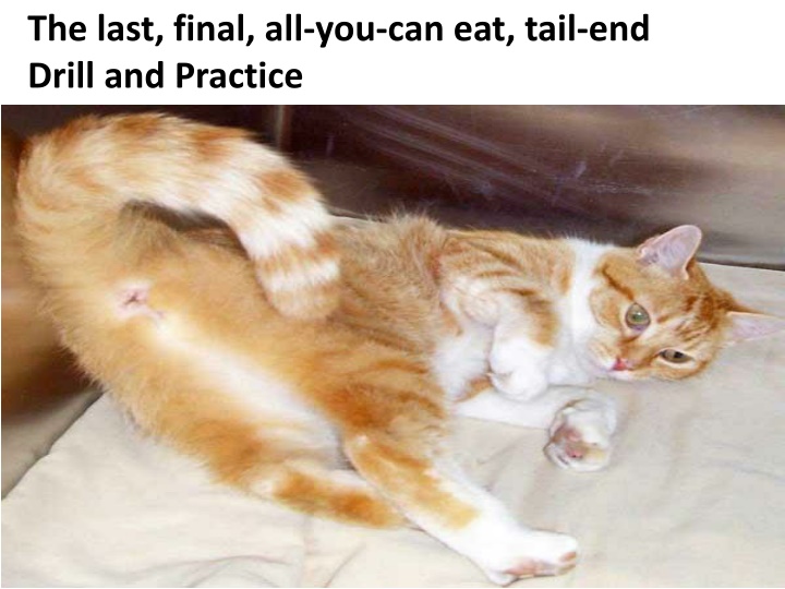 the last final all you can eat tail end drill