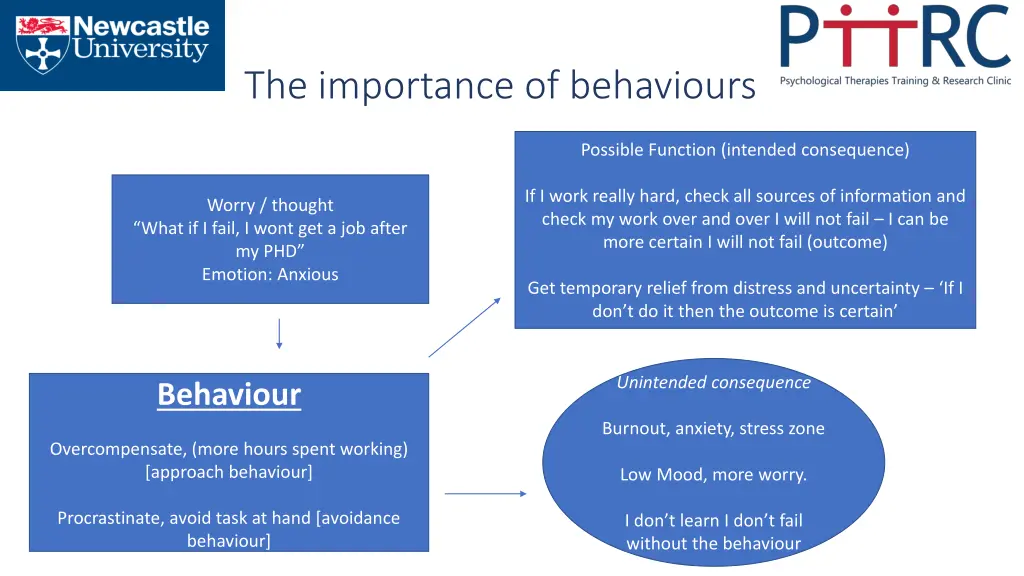 the importance of behaviours