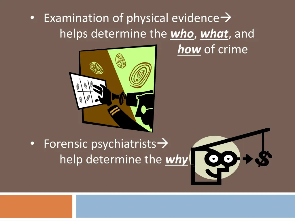 examination of physical evidence helps determine