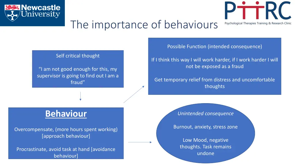 the importance of behaviours 1