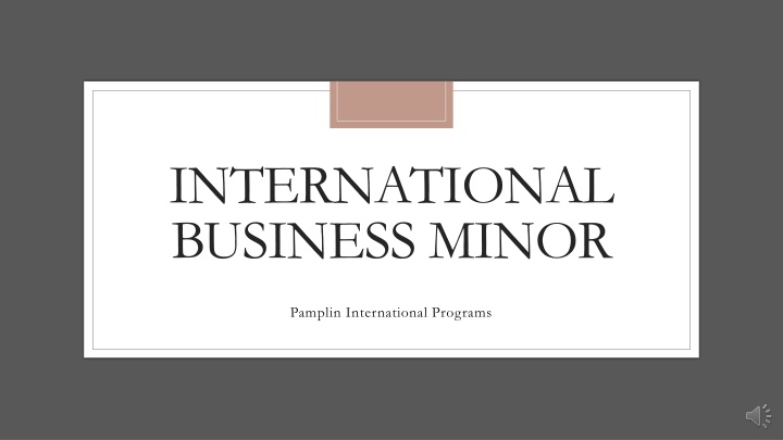 international business minor