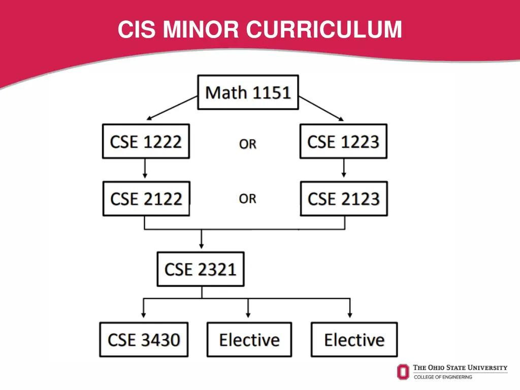 cis minor curriculum