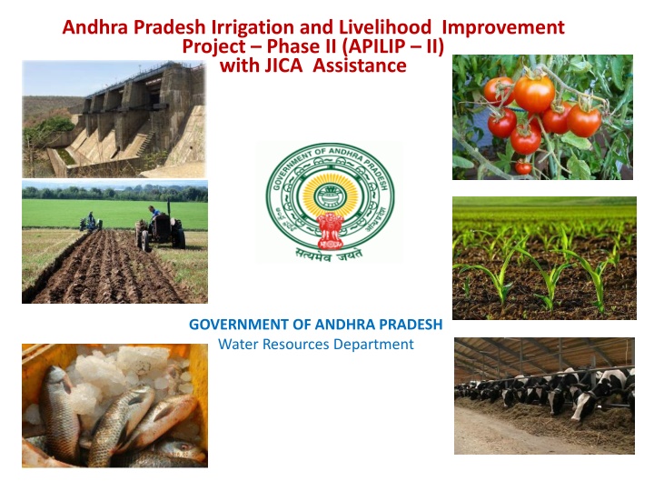 andhra pradesh irrigation and livelihood