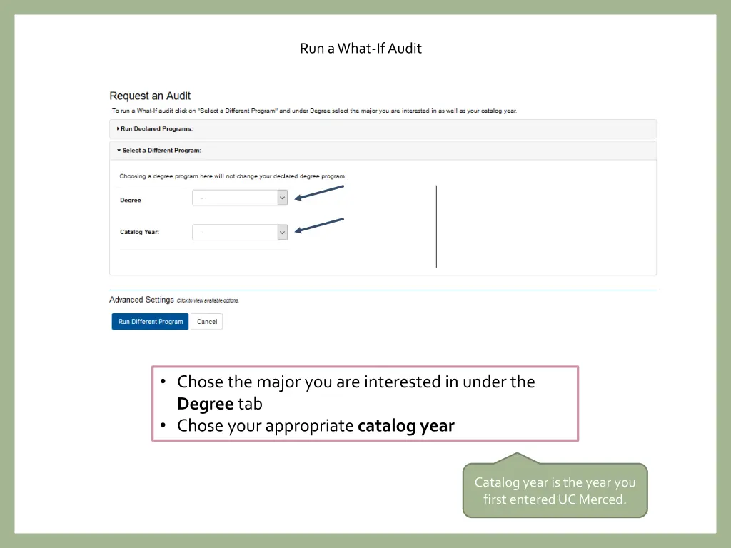 run a what if audit 2