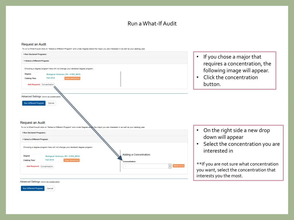 run a what if audit 3