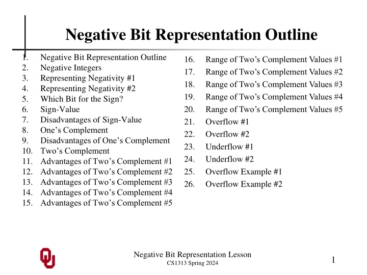 negative bit representation outline