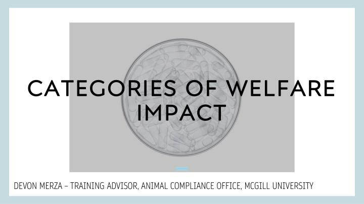 categories of welfare impact