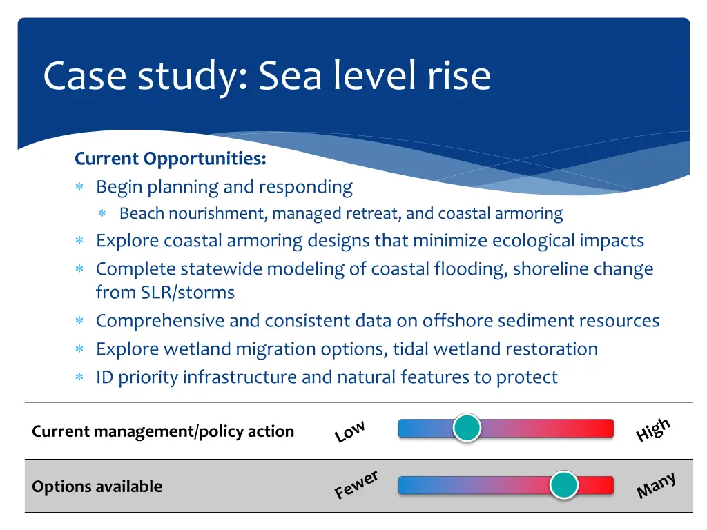 case study sea level rise