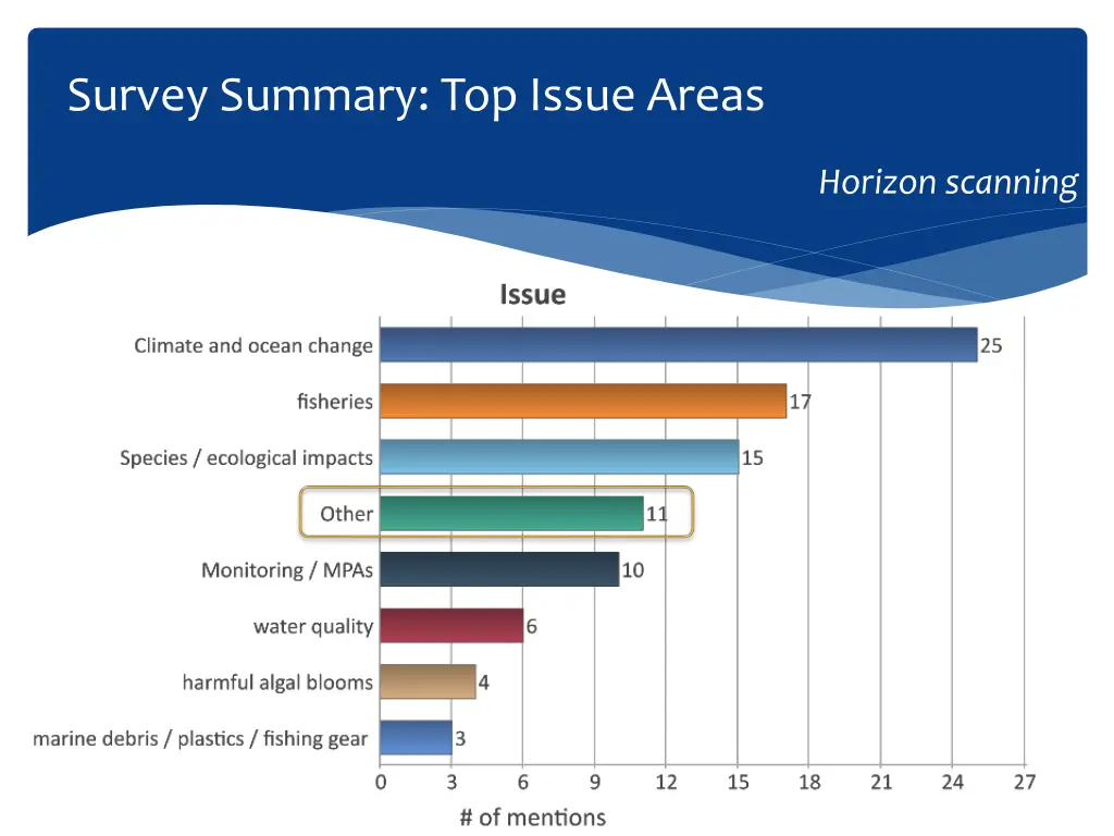 survey summary top issue areas 1