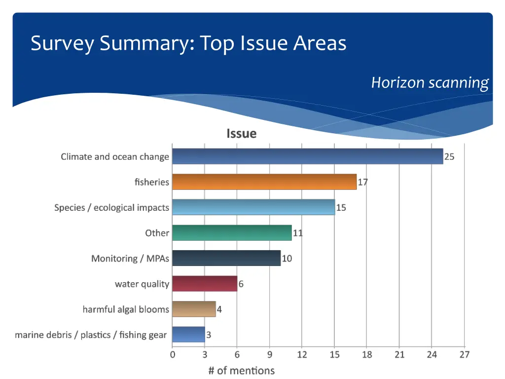 survey summary top issue areas 2