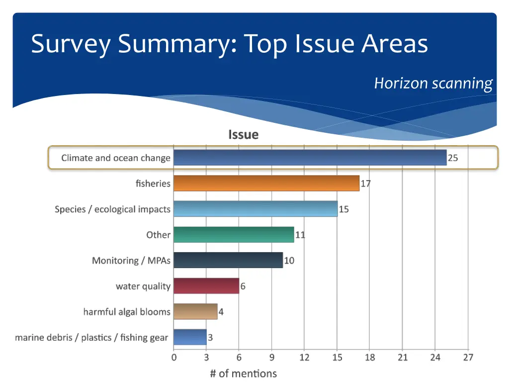 survey summary top issue areas