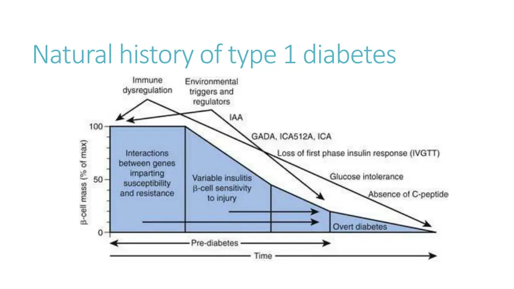 natural history of type 1 diabetes