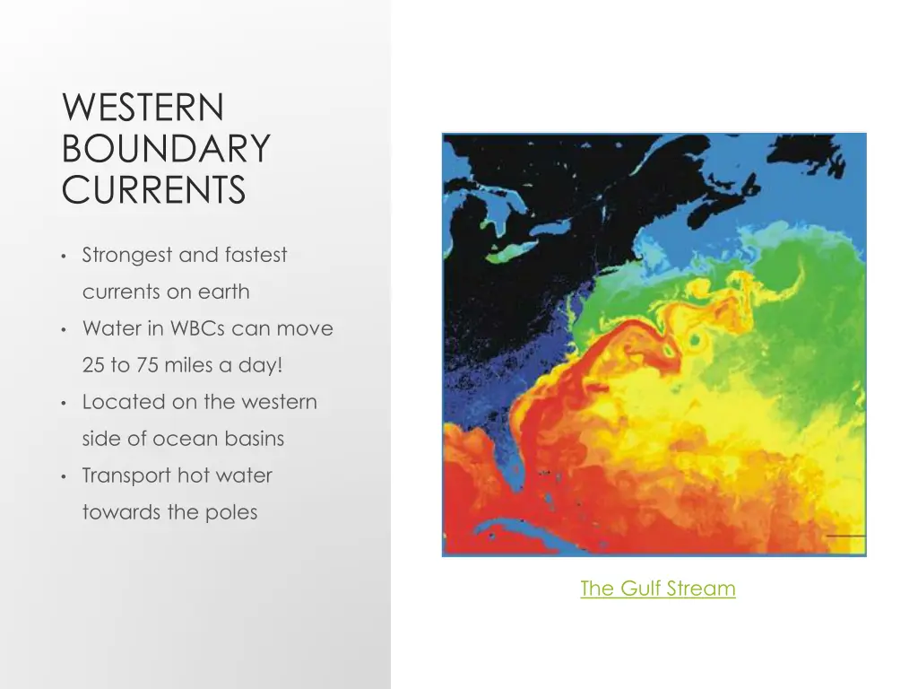 western boundary currents