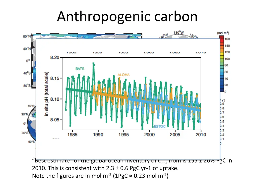 anthropogenic carbon