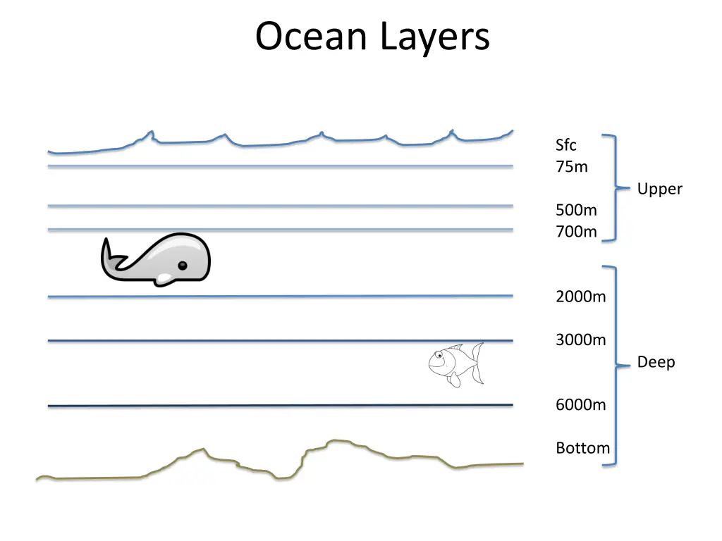 ocean layers