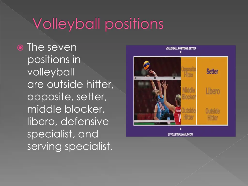 volleyball positions