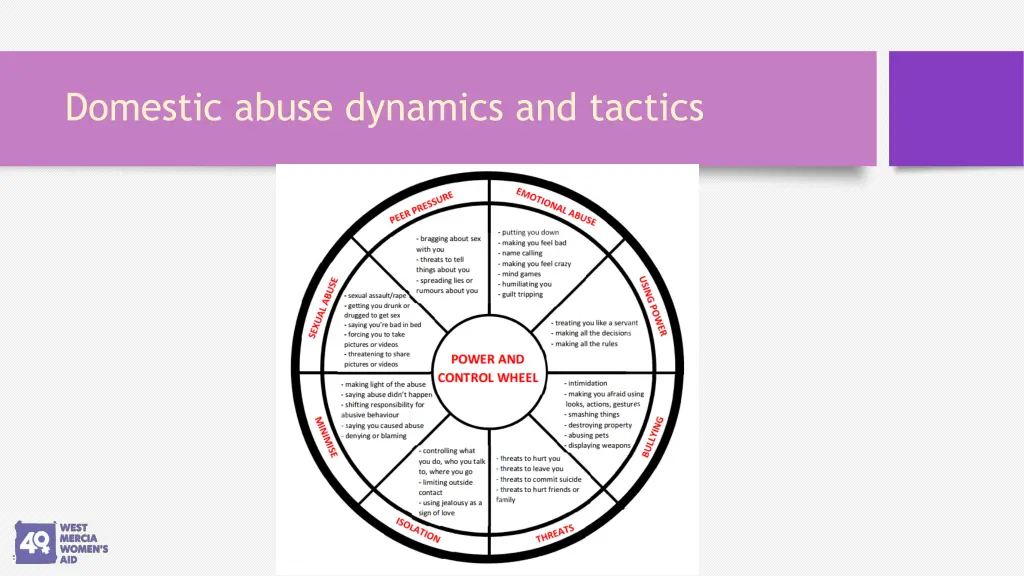 domestic abuse dynamics and tactics