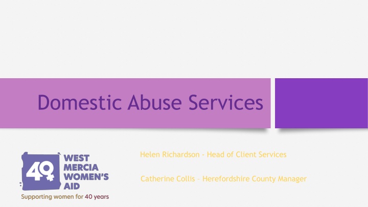 domestic abuse services