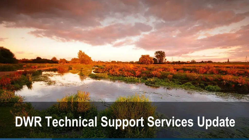 dwr technical support services update