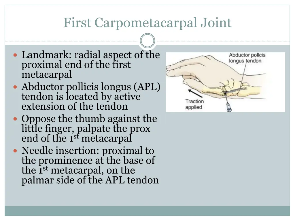 first carpometacarpal joint