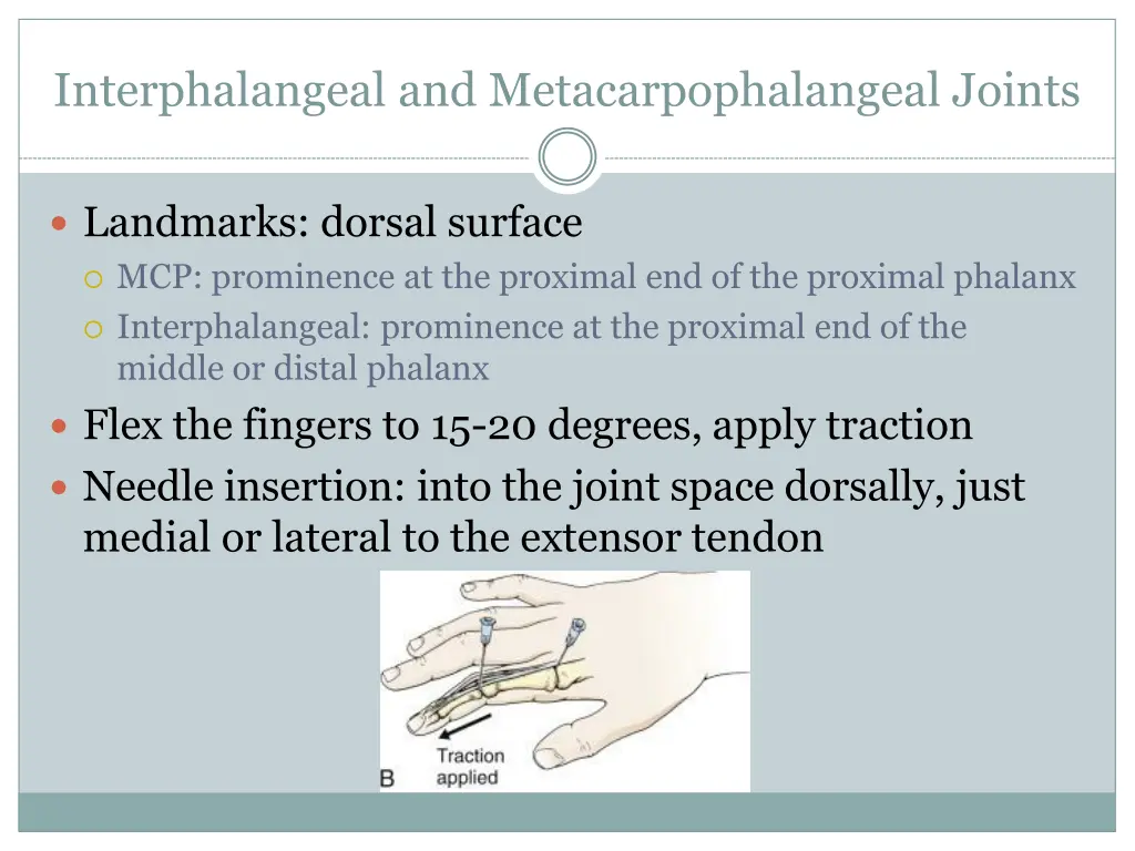 interphalangeal and metacarpophalangeal joints