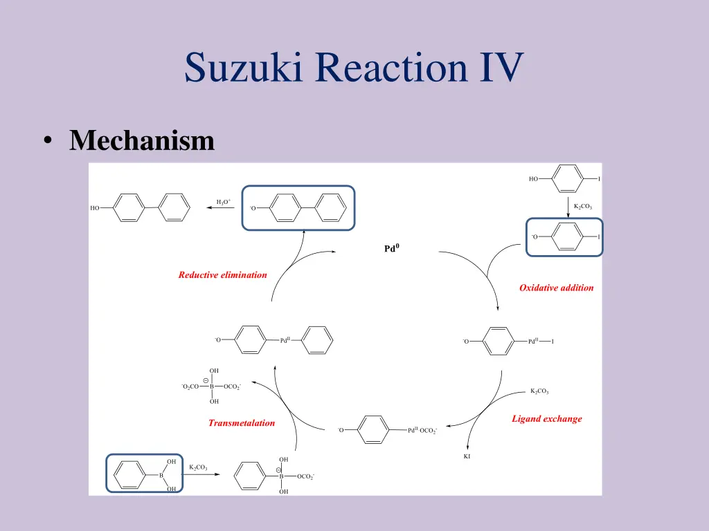 suzuki reaction iv