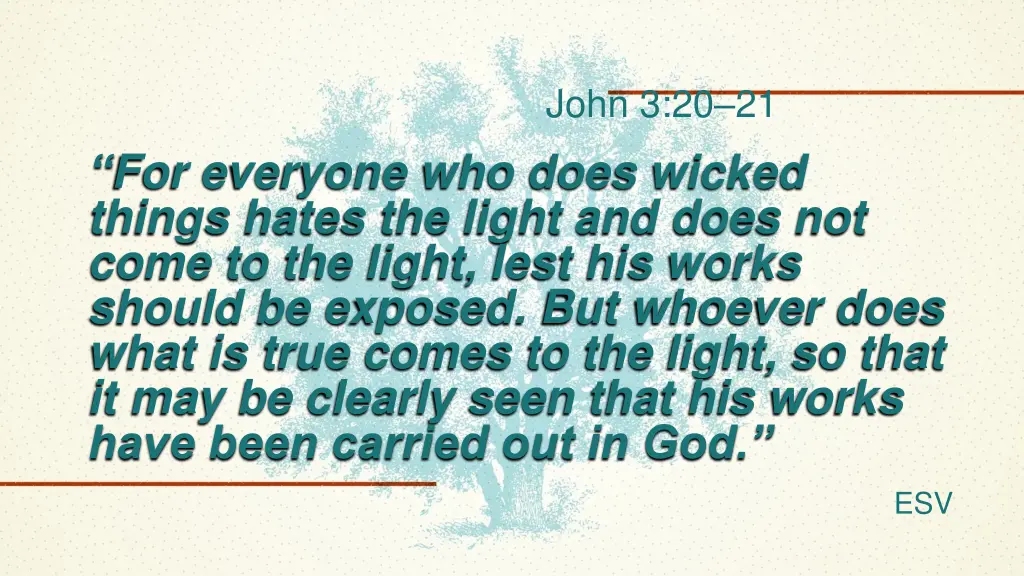 john 3 20 21