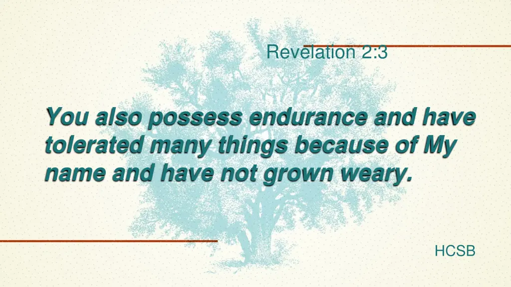 revelation 2 3