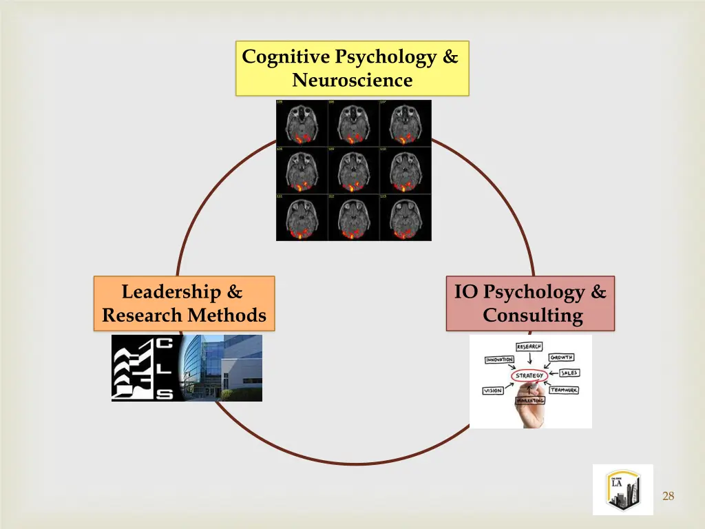 cognitive psychology neuroscience