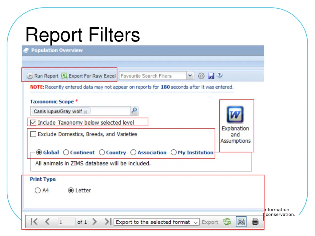 report filters