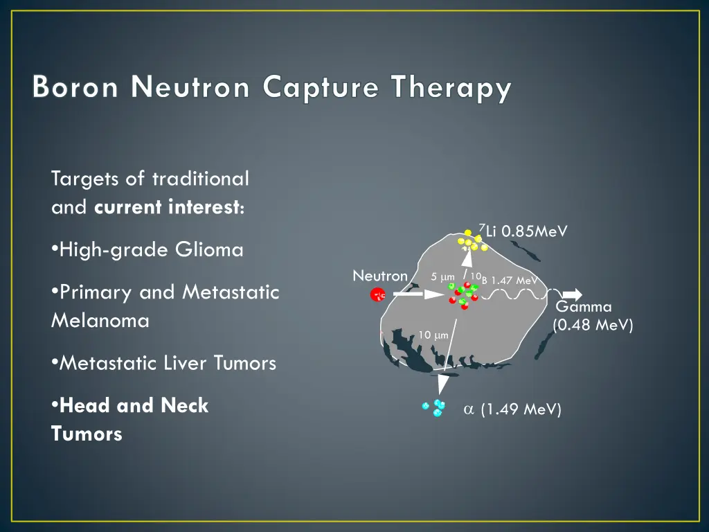 boron neutron capture therapy