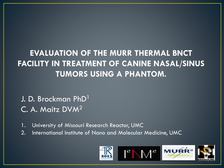 evaluation of the murr thermal bnct facility