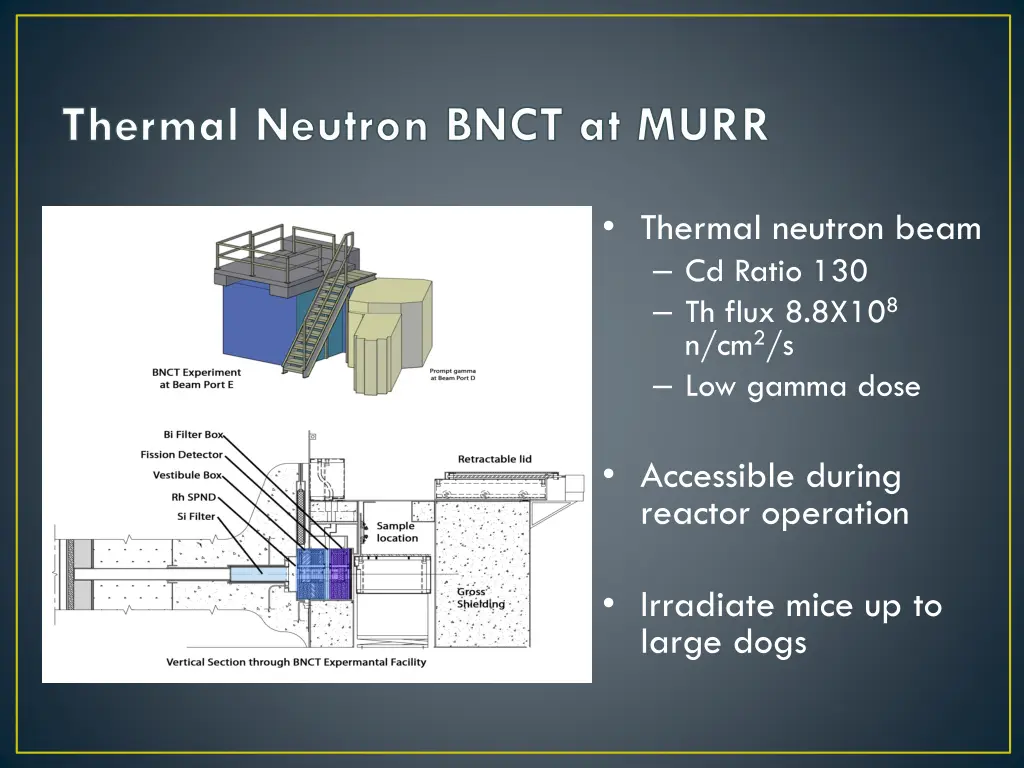 thermal neutron bnct at murr