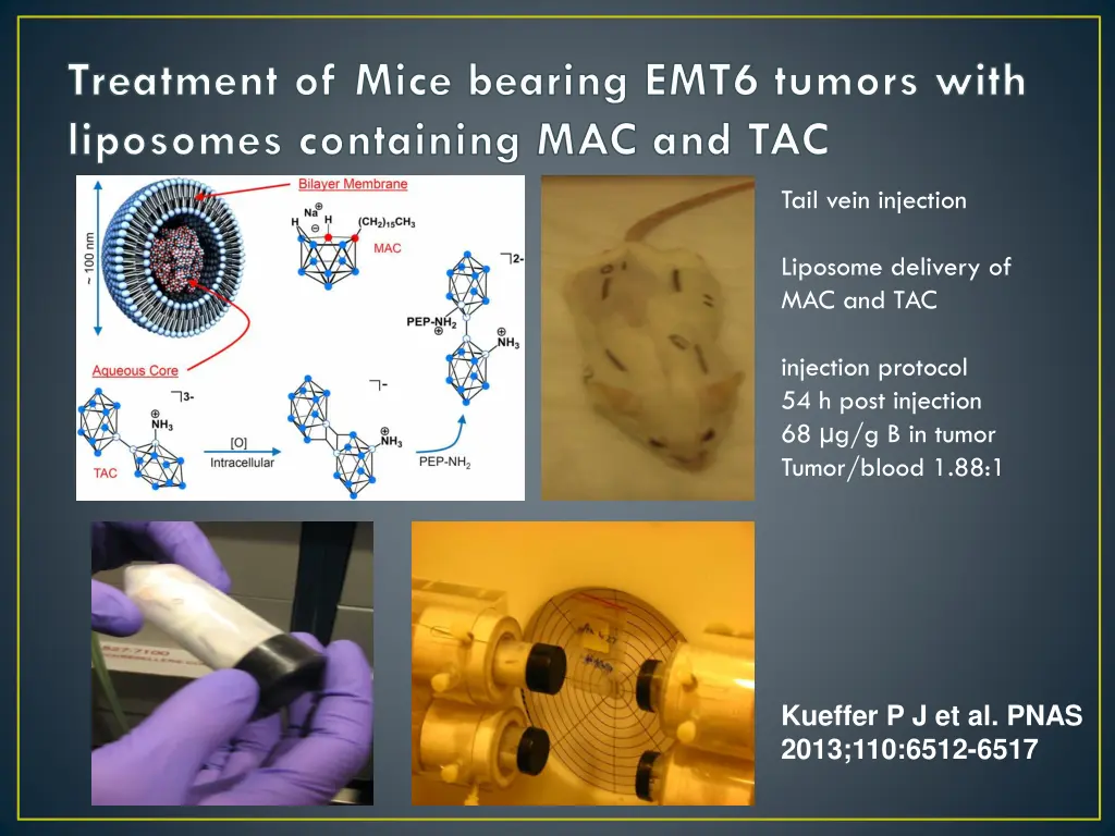 treatment of mice bearing emt6 tumors with