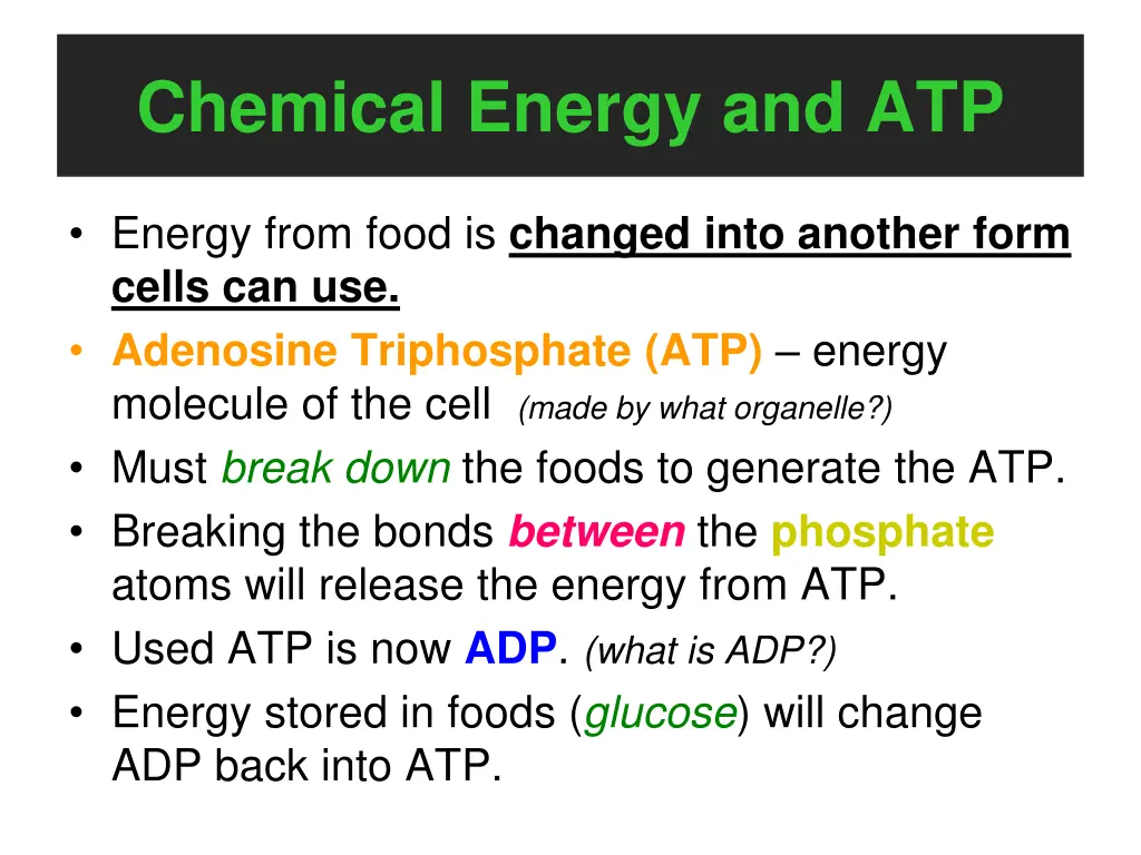 chemical energy and atp