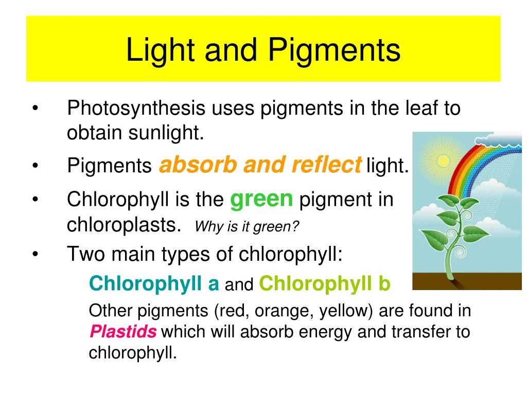 light and pigments