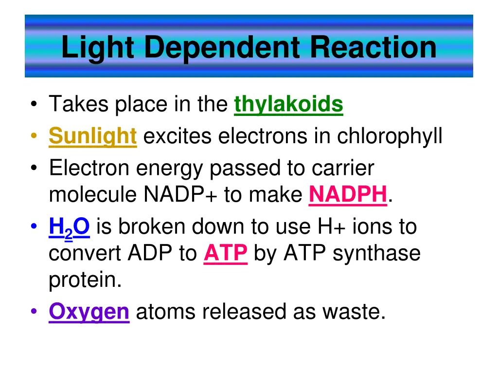 light dependent reaction