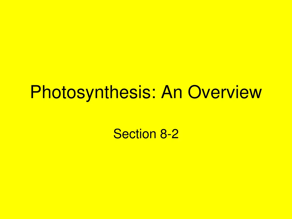 photosynthesis an overview