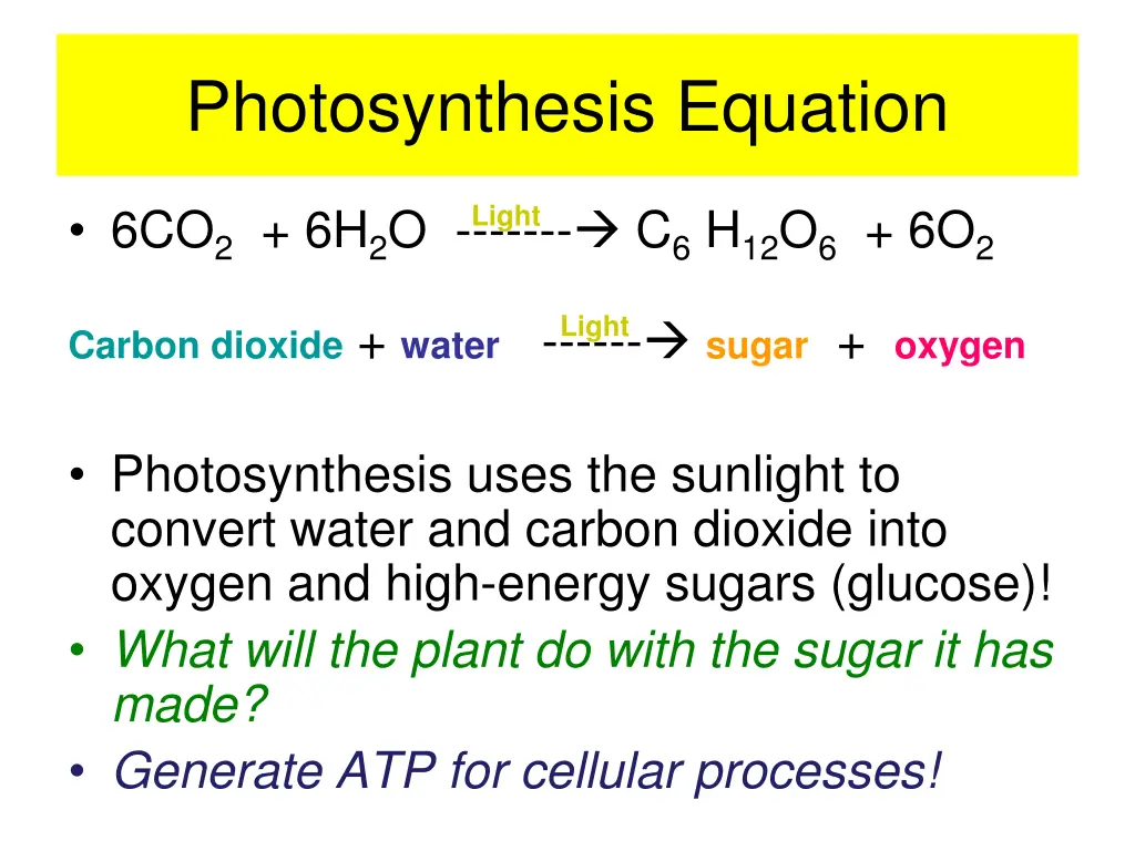 photosynthesis equation