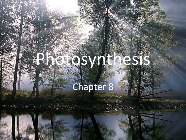 photosynthesis