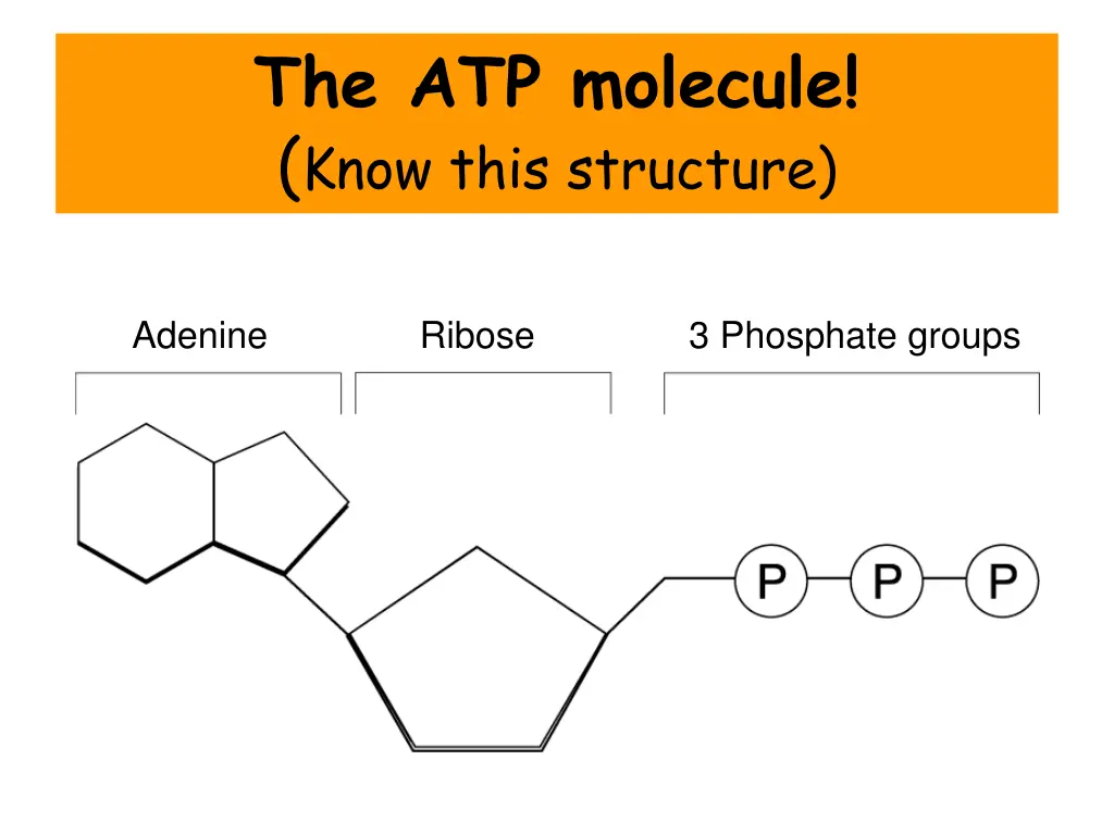 slide5