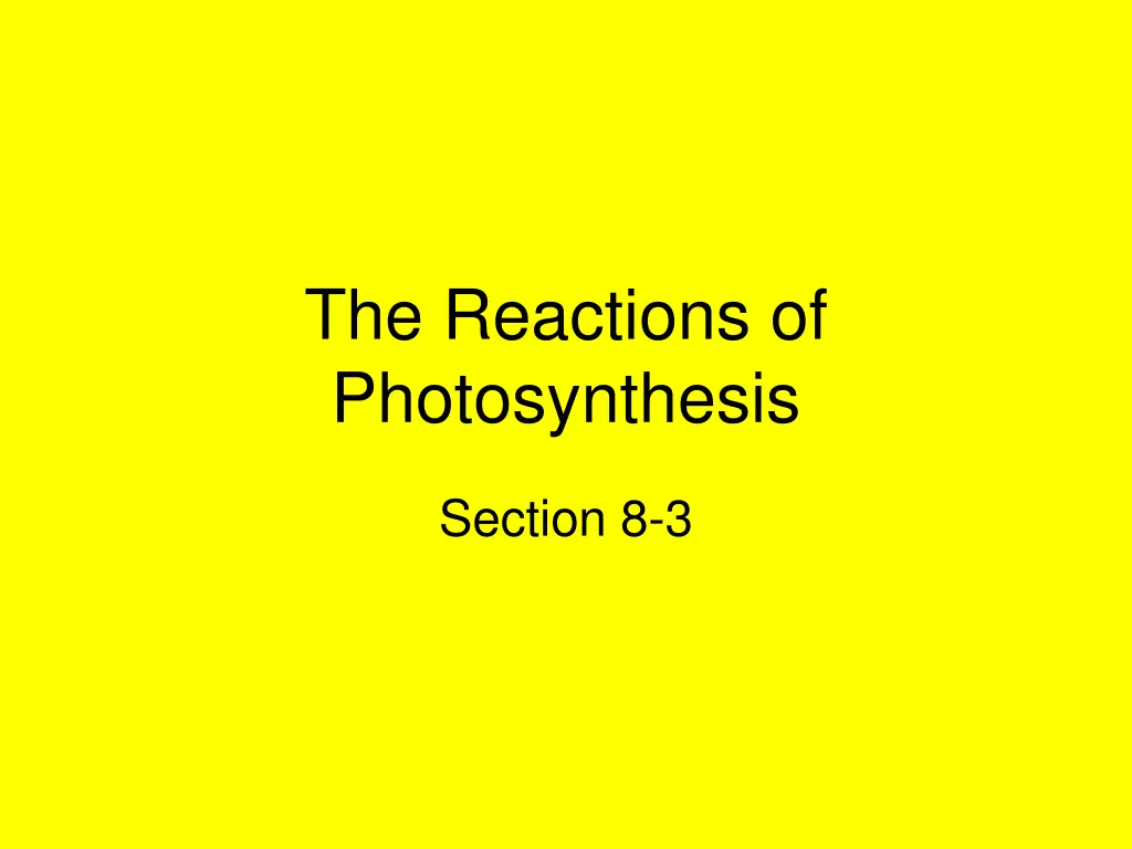 the reactions of photosynthesis