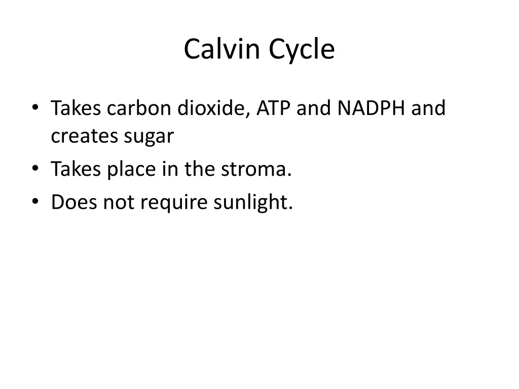 calvin cycle