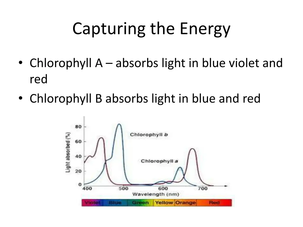 capturing the energy 1