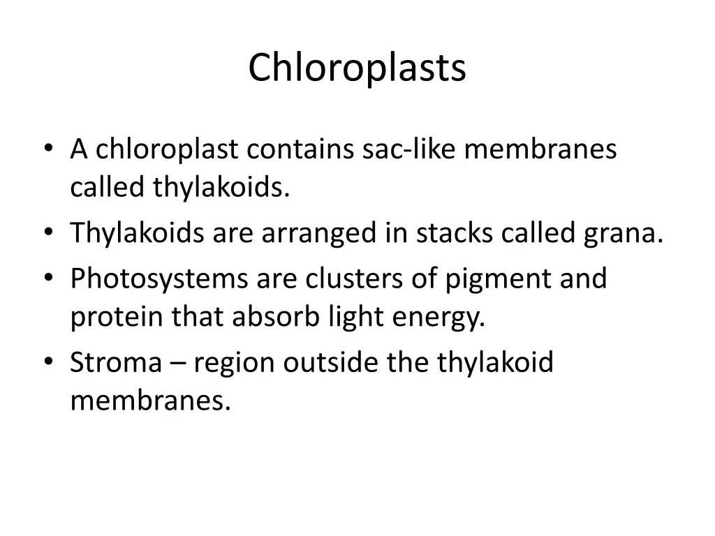 chloroplasts