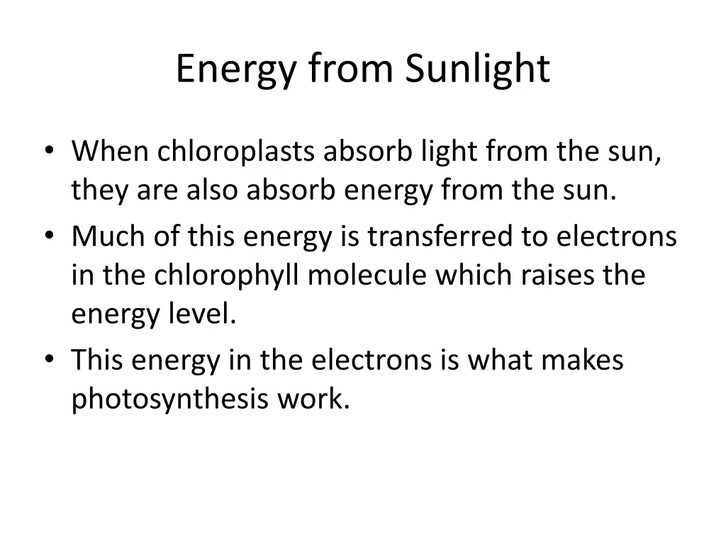 energy from sunlight