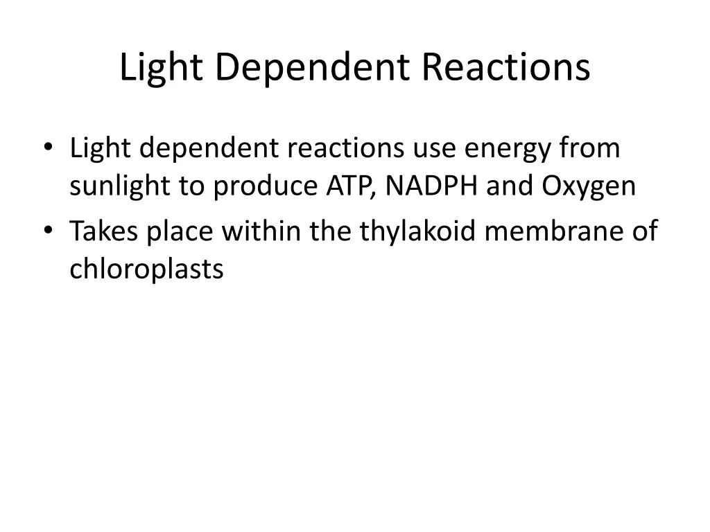 light dependent reactions